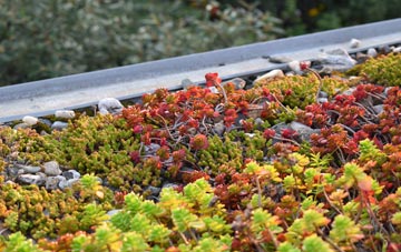 the cost of Westmuir green roof installation